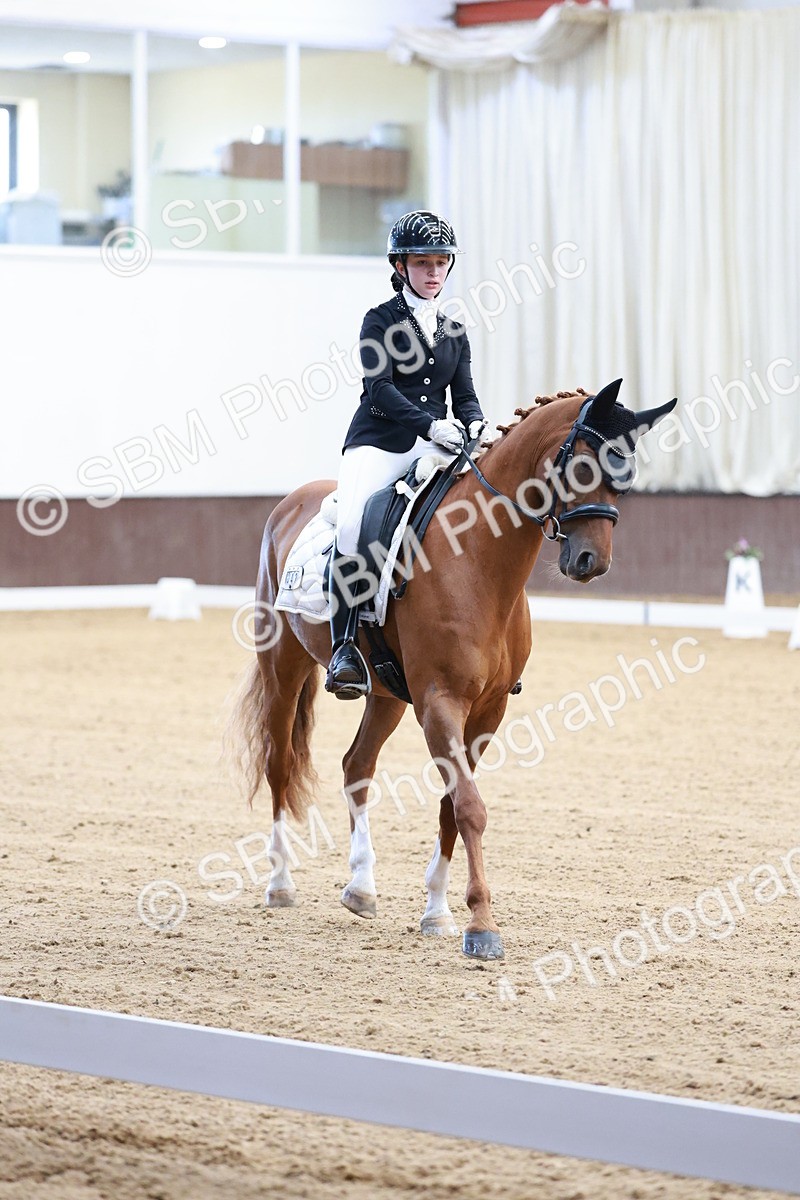 SBM_016778 - Class15 - FEI Pony