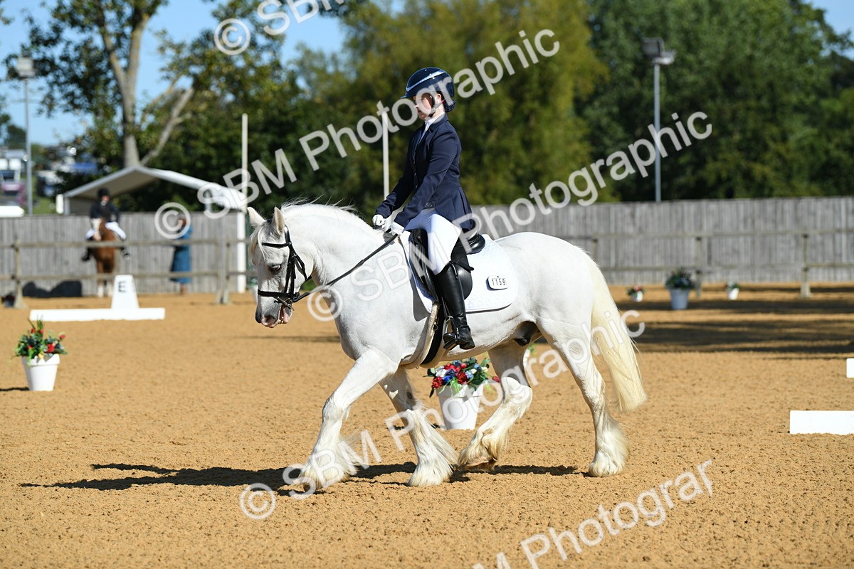 SBM_18110 - D4 - Small Tour Championship - Intro B