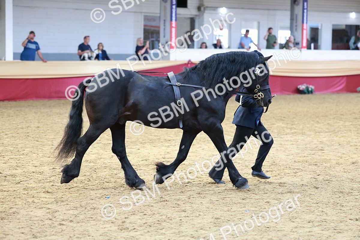 SBM_17492 - Class 951 - M&M IH Supreme Final