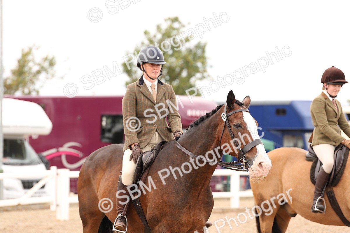 SBM_17263 - Class 213 - Ridden Hunter - Large