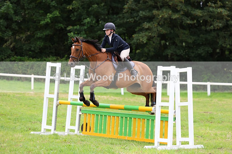 3E7A7120 - Class 5: Senior British Novice/90cm open