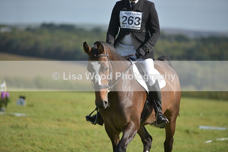 RAY_8003 - Class 2B: Trekenning Open: Dressage