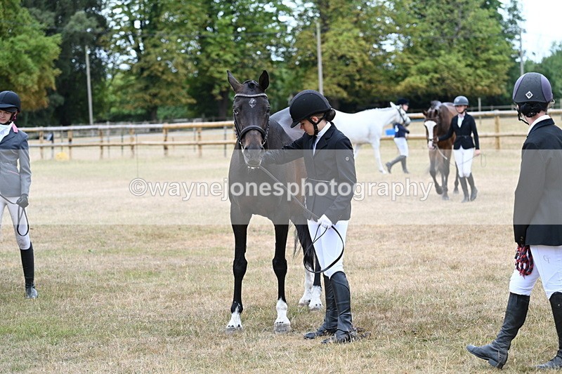 WJ7_9188 - Class 4a Prettiest Mare 14.2hh and over