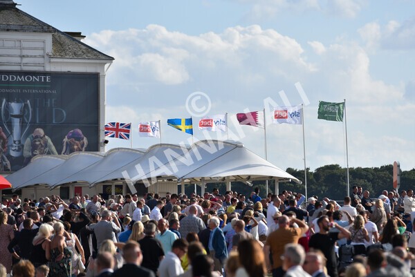 yr20082022r7-20 - Race 7 5.20pm Sky Bet Finale Stakes