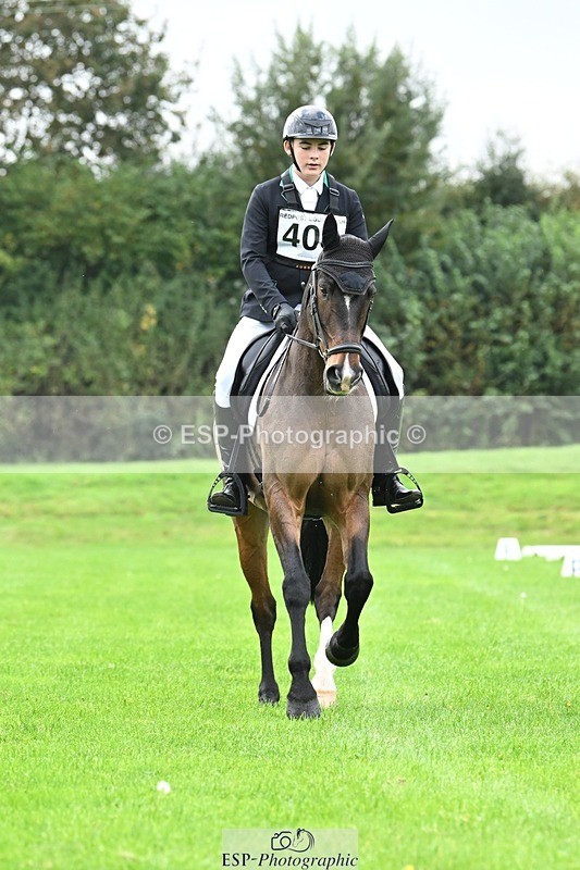 241024-100610-02925 - 406-Harvey.Crocker-THE.NIGHT.TRAVELLER