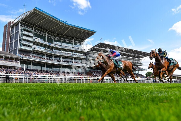 yr12052022r3-31 - Race 3 3.00pm The Paddy Power Hambleton Stakes