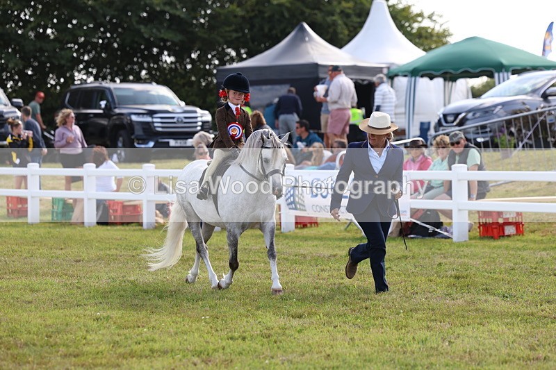 3E7A3941 - Supreme Championship