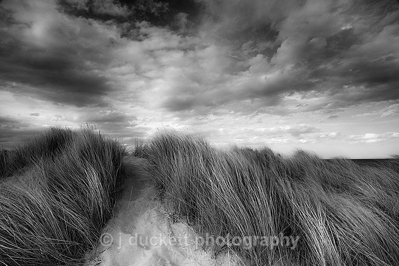  - Peer into the Darkness (coast)