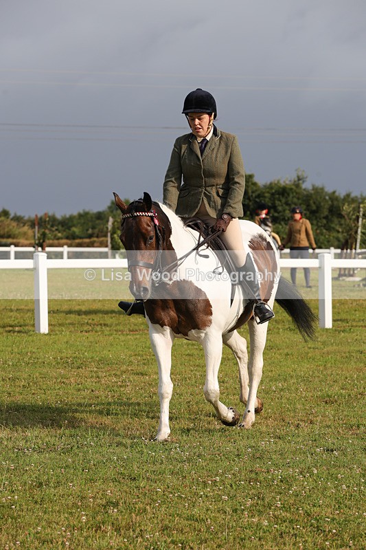 1X9A2915 - Class 25: Ridden Plaited Coloured Horse