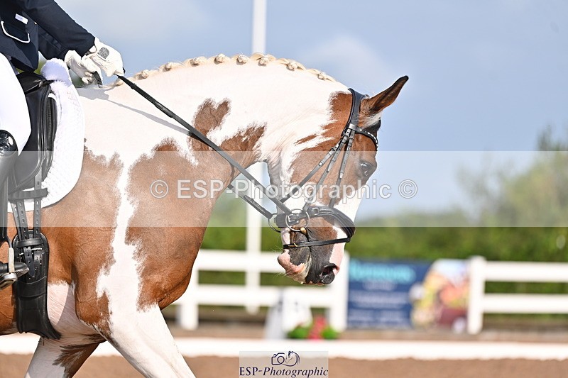 240817A-093348-06644 - 131-Natalie.Harris-Lets.Do.It.LS