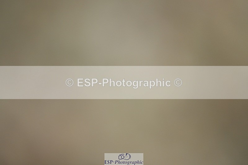 230701A-101247-04702 - Cls 4 Novice 23