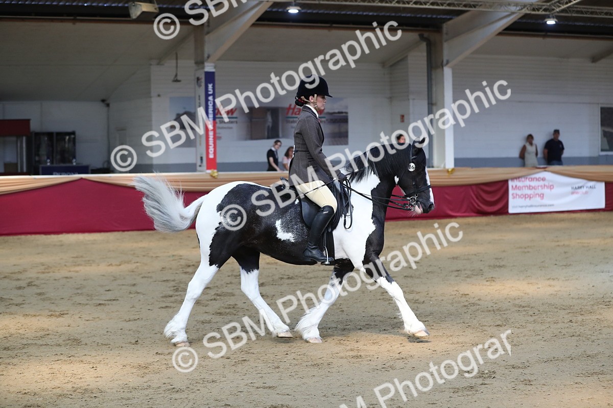 SBM_02924 - Class 6a Area Ridden Pre Vet