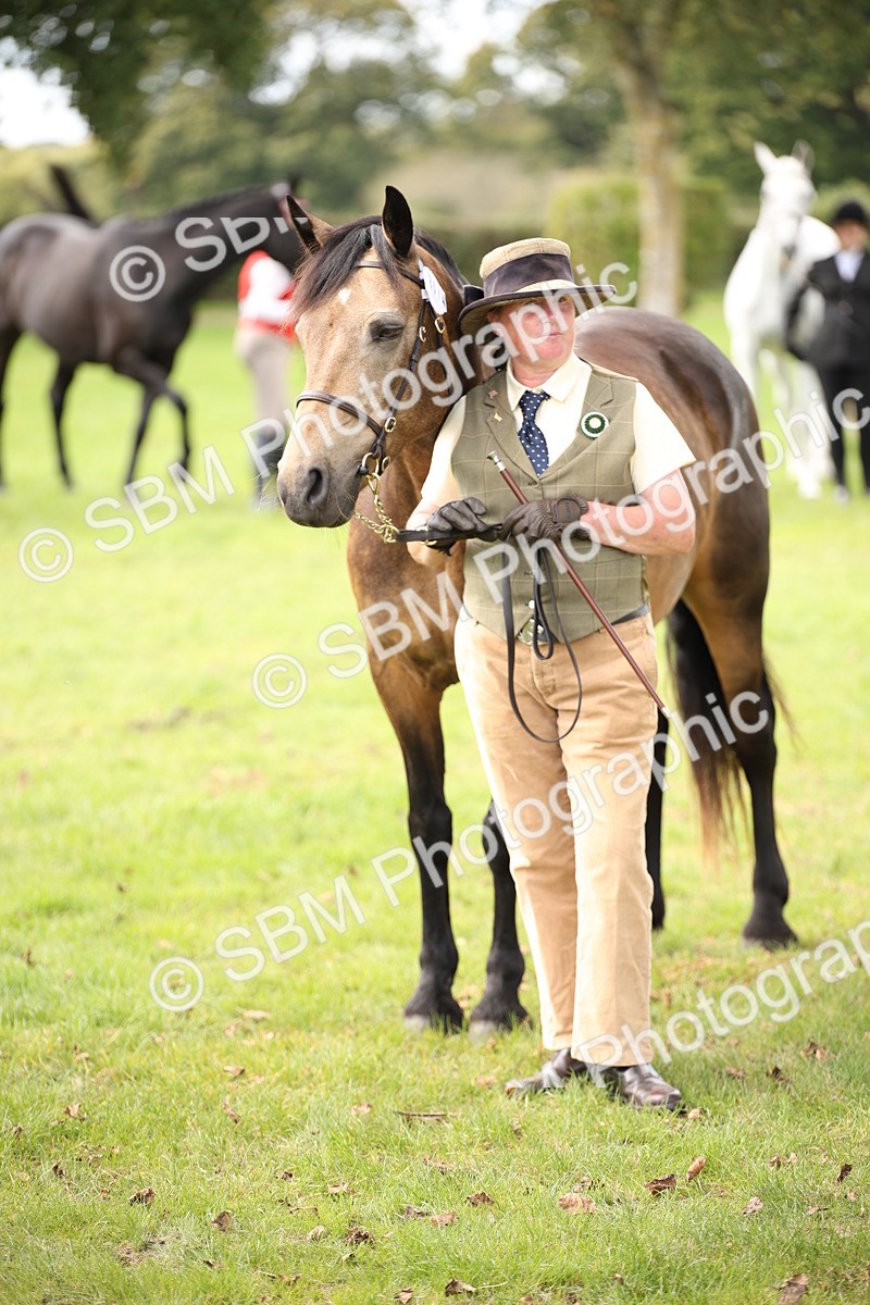 SBM_44513 - S24 - Young Veteran in hand