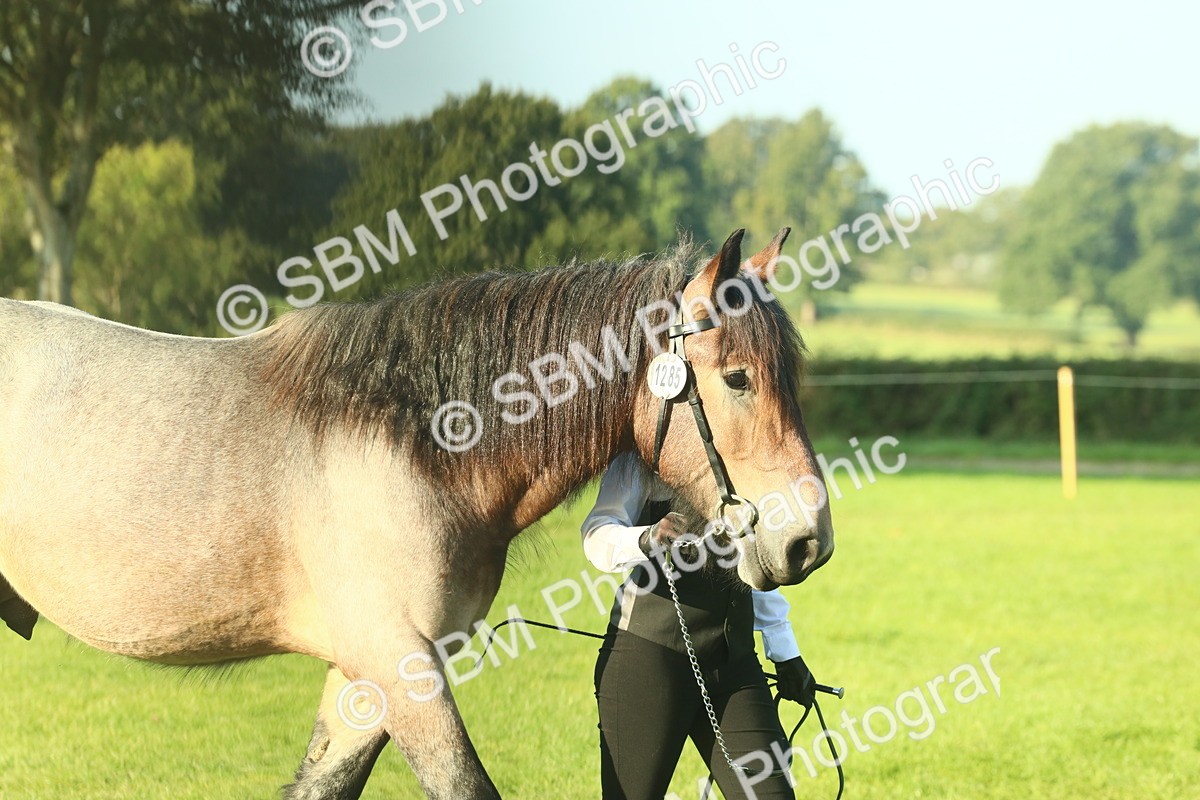 SBM_58527 - S37 - Starters In Hand Showing