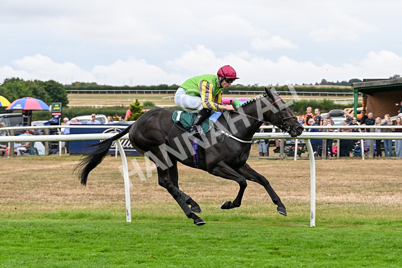 170826-Race 4-Star Noir-9606 - Race 4 15.45pm Constant Security Services Novice Stakes