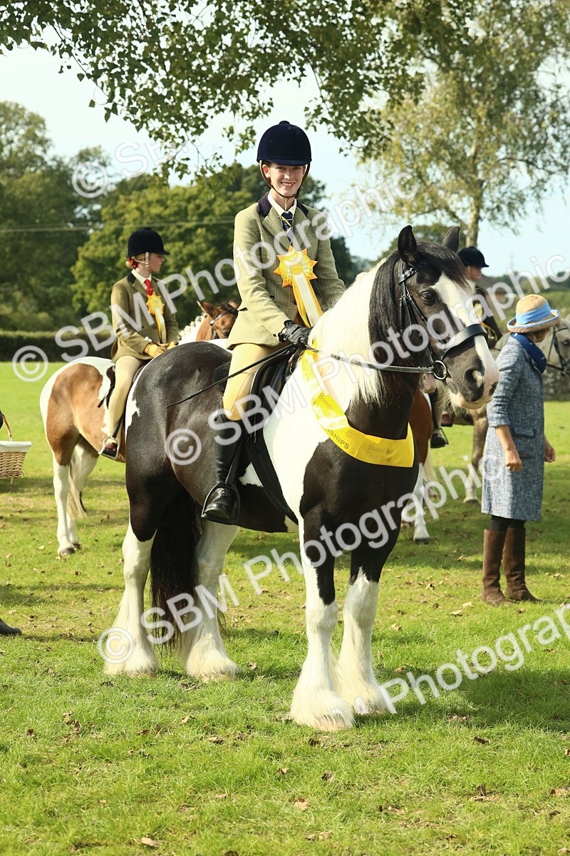SBM_68976 - S58 - Mini Show Cob Ridden