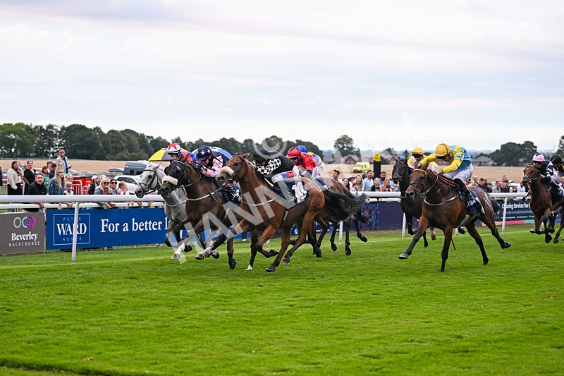 290725-Race 7-King Sharja-1270 - Race 7