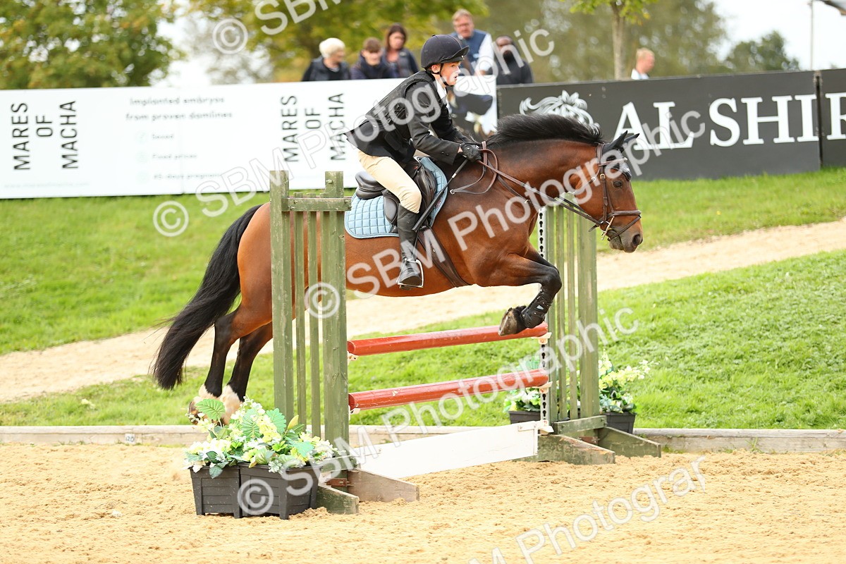 SBM_76024 - J19 - Junior 90cm Supreme Championship