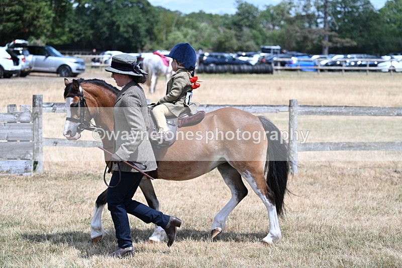 WJ7_2589 - Class 6 Ridden Mountain and Moorland