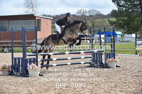 BPP_2997 - CLASS 4 STX-UK Pony BritiNovice / 0.80m Open