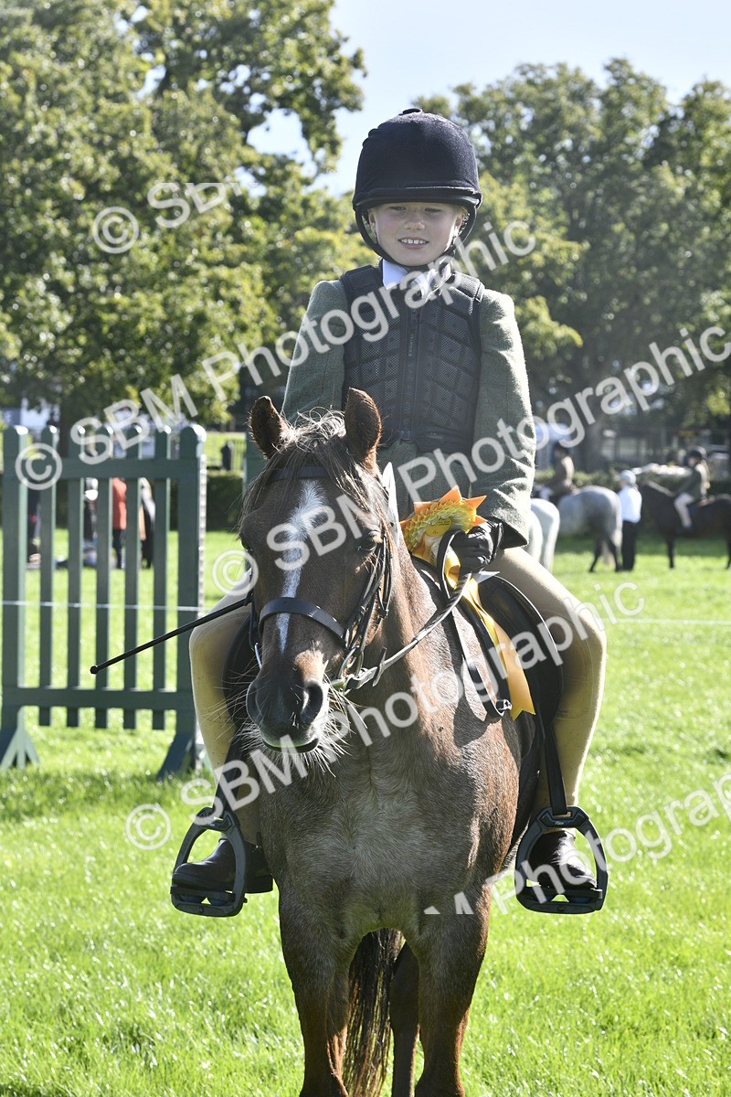 SBM_37245 - S31 - Novice & Newcomer Working Hunter Pony
