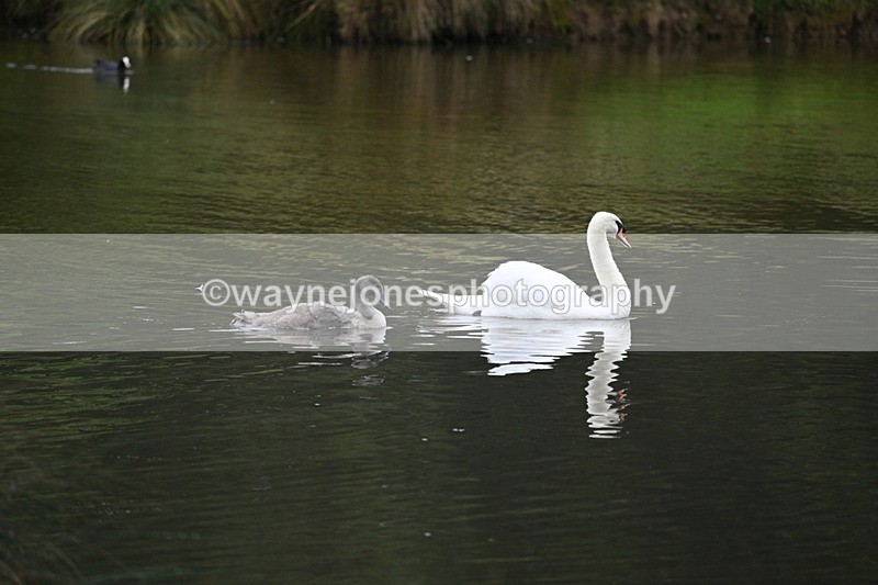 WJ7_9110 - Time at Water 11:53 to 12:23