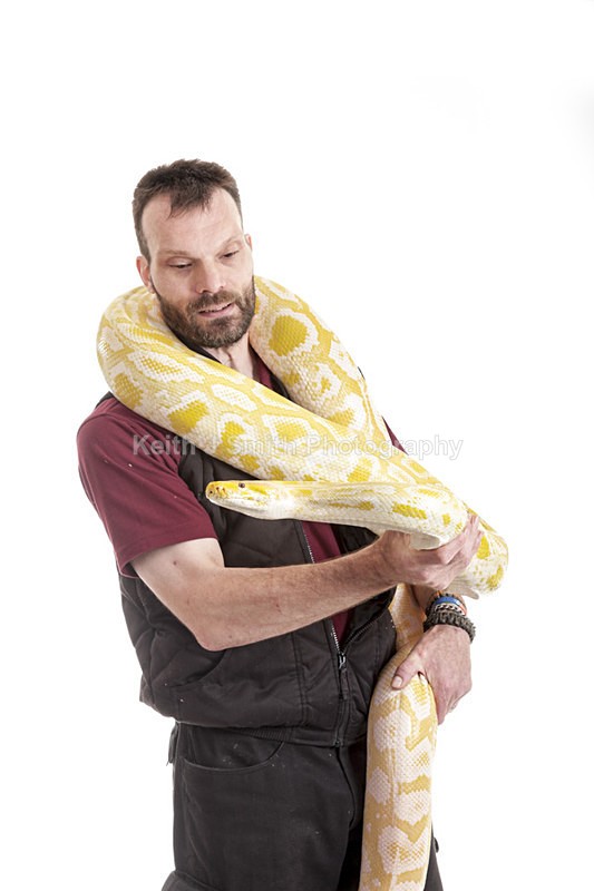 2SKJ8781 - Roaming Reptile Show. II