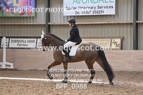 BPP_0988 - 10 - K MURDOCH