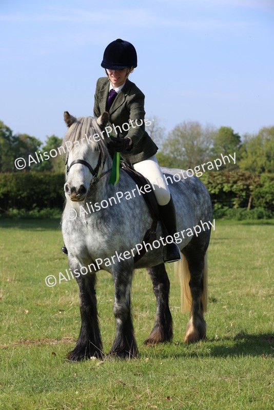 20250427-0586 - Class 17 - Novice Showing