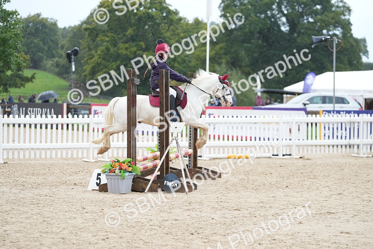 SBM_36324 - J5 - Junior Pony 50cm Championship