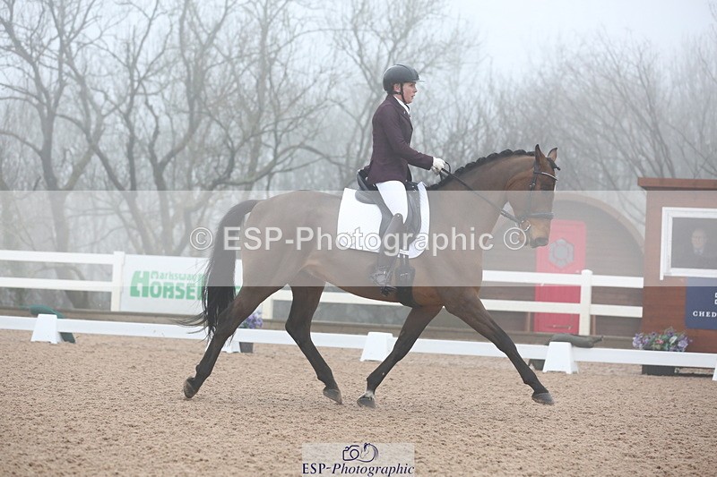 240217A-094526-00833 - 114-kelly.jewell-Juno.Watt