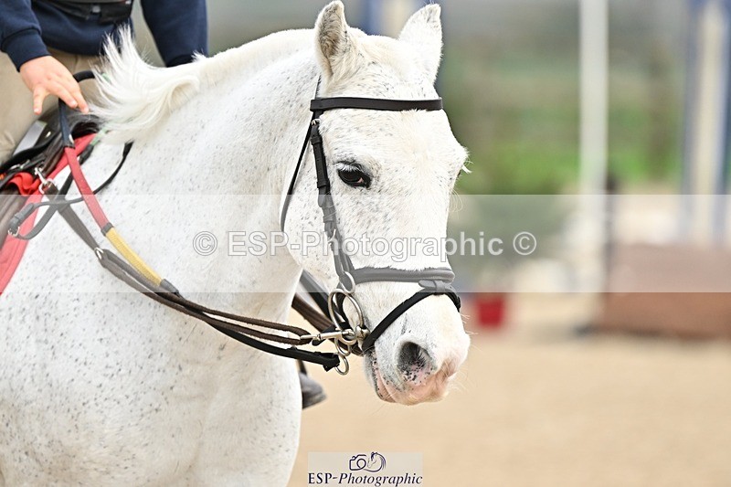 241110-102514-00296 - 40cm Showjumping
