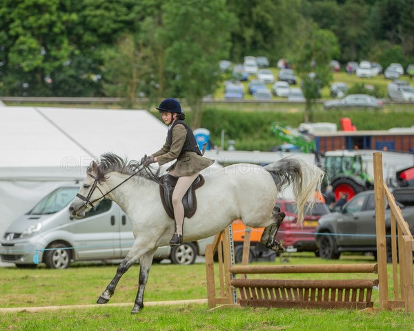 Dunblane show-212 - Dunblane and Doune Show Ring 1