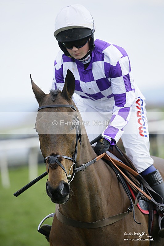 PtP 060322 534 - Blackmore & Sparkford Vale Hunt PtP 06/03/22