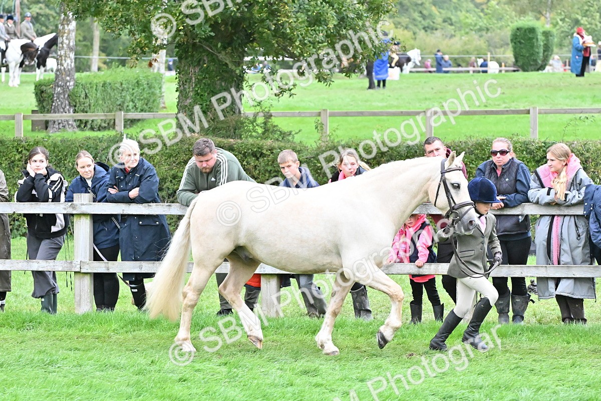 SBM_68570 - S42 - Junior Handler 9-12 Years