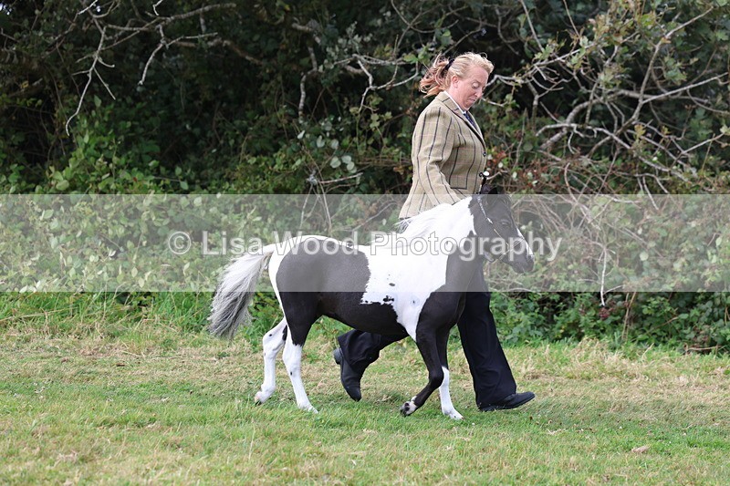 3E7A5385 - Class 19: Best Coloured in Hand