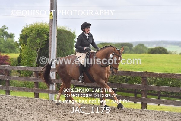 JAC_1175 - CLASS 8 BHS Scotland Riding Club Working Hunter Qualifier (1.00m)