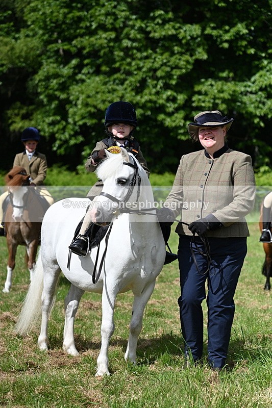 WJ7_0842 - Class 8 First Rally Pony