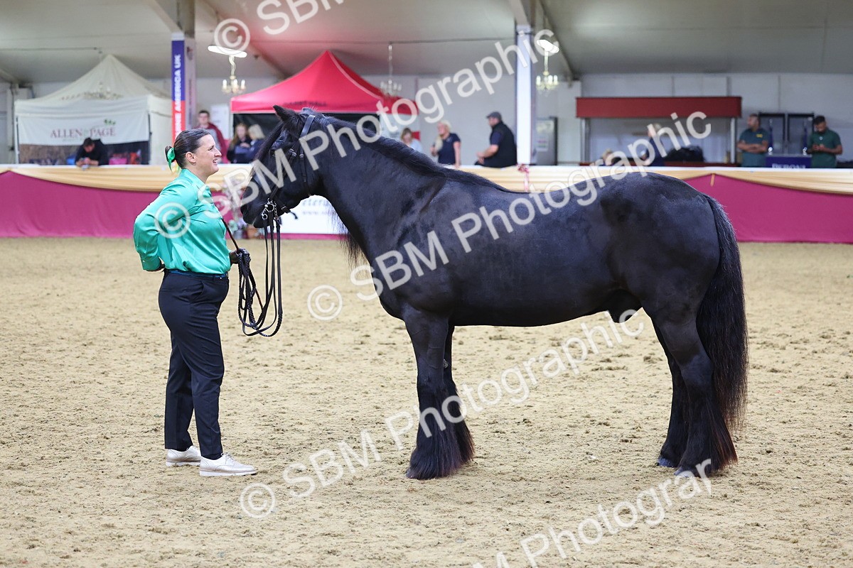 SBM_19644 - Class 901 - Supreme Final - IH Diamond