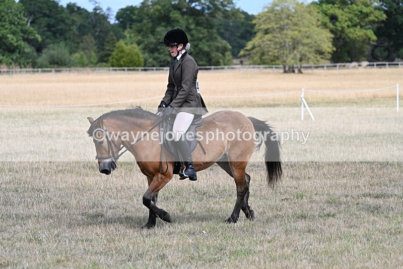 WJ7_6013 - Class 13 Ridden Veterans