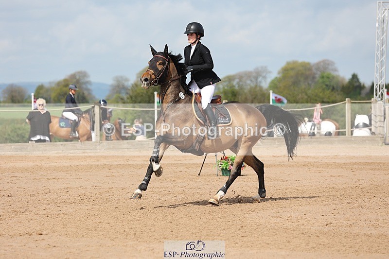 250427-111218-15856 - Cls 36 Young Horse 7yr old