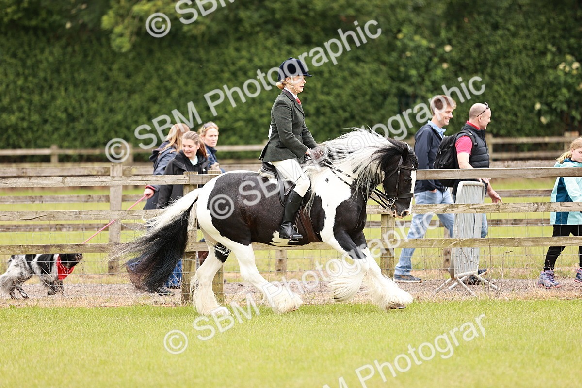 SBM_06177 - Class 39-41 TGCA In Hand and Ridden