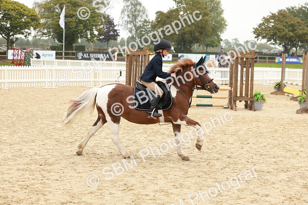 SBM_71070 - J14 - Junior Pony 65cm Championship