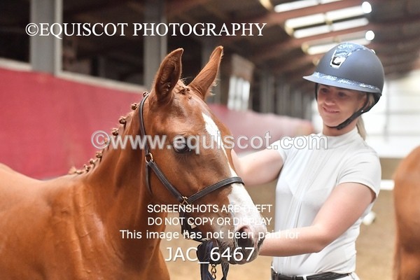 JAC_6467 - 19 Luca