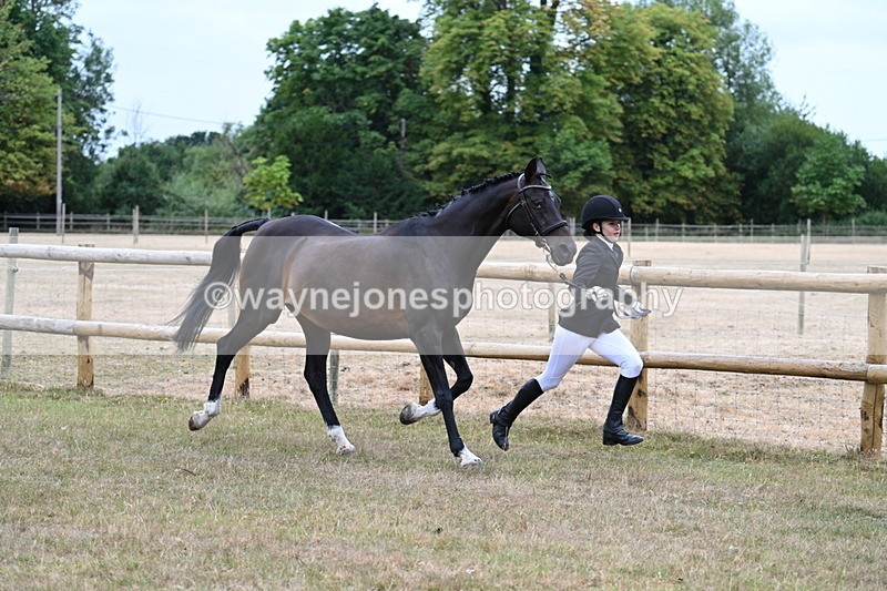 WJ7_8992 - Class 4a Prettiest Mare 14.2hh and over