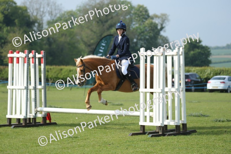 20260426-0162 - Class 13 - Rookie Jumping 50cm