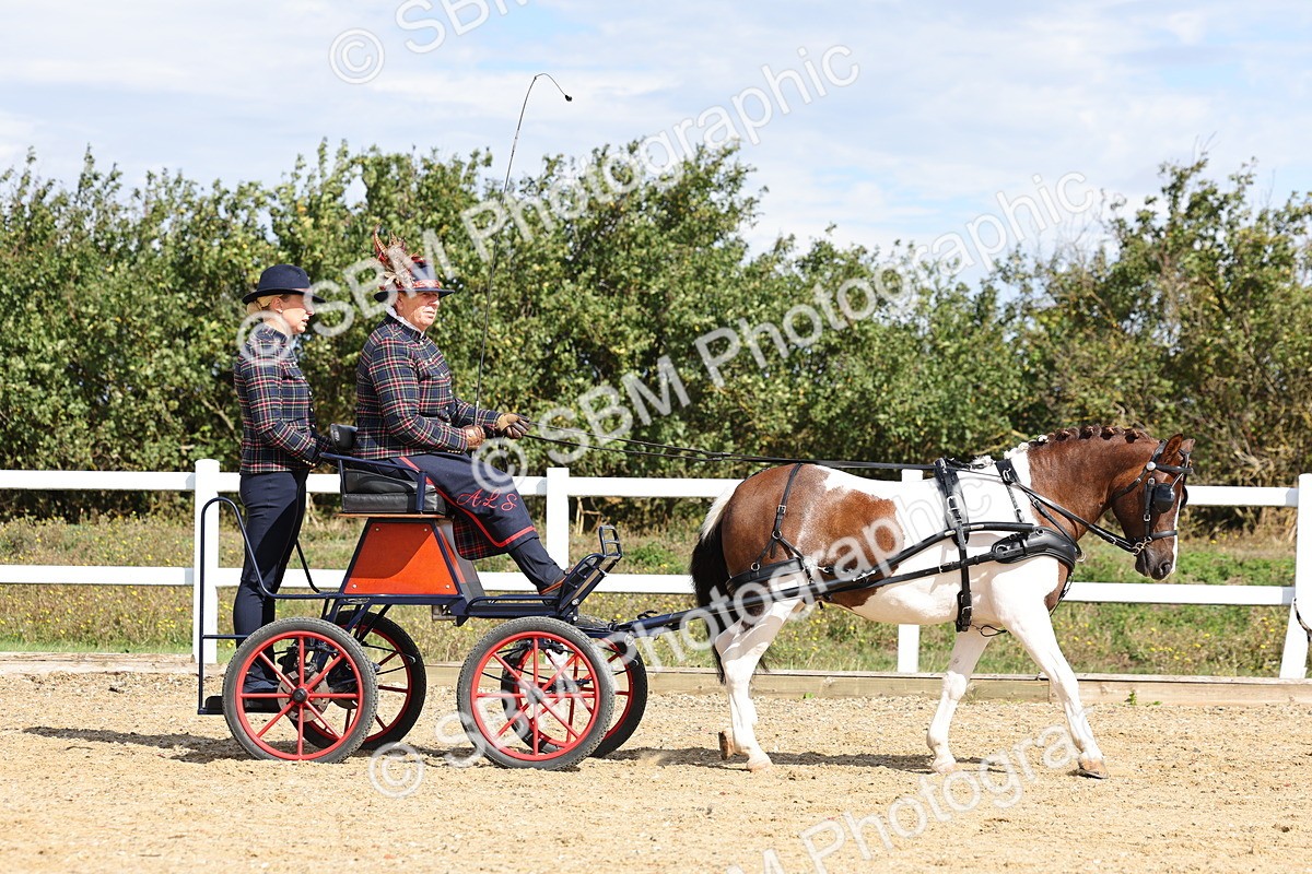 SBM_000861 - Class 8 - Novice Horse or Pony to any vehicle