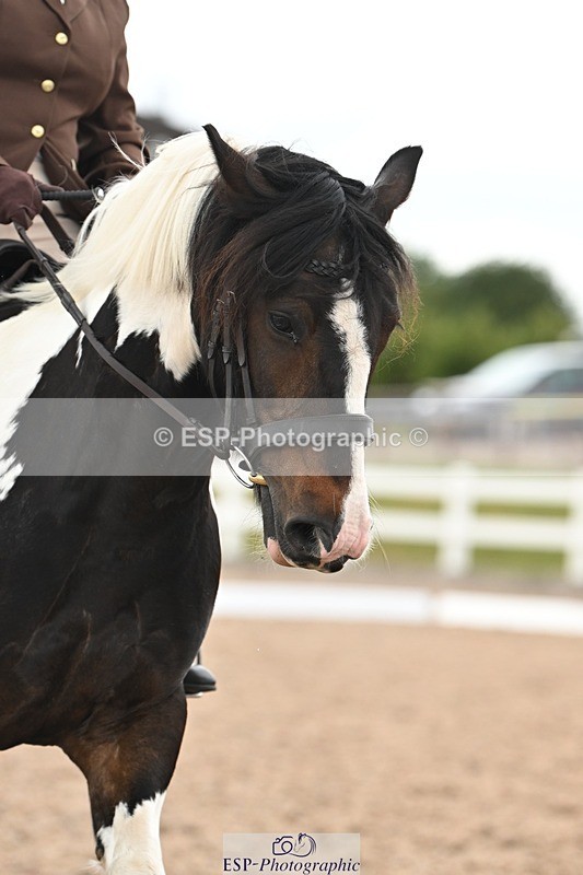 250705-175529-02860 - N1 Section BDNOV1 1350 to 15.28