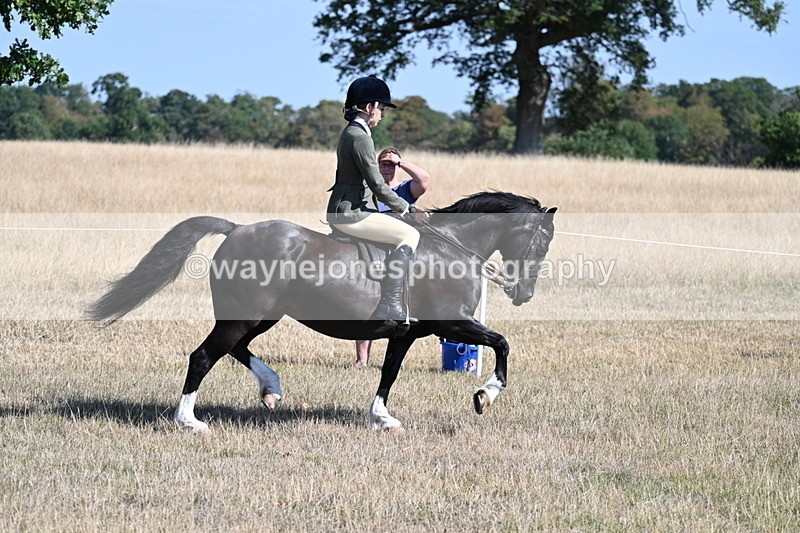 WJ7_3731 - Class 9 Mountain & Moorland Ridden
