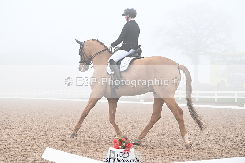 240217A-131137-02770 - 271-Tom.Carter-Rubin.Regal